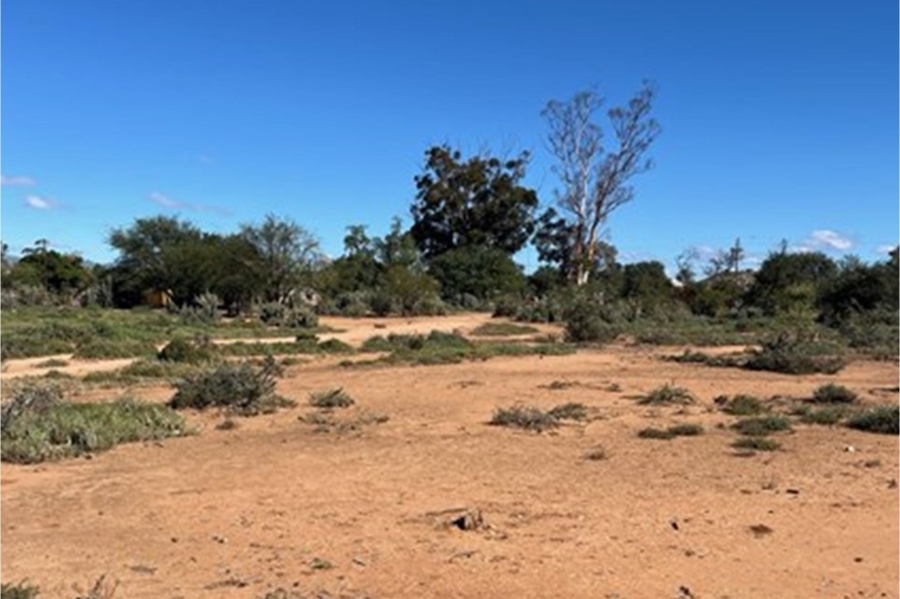 0 Bedroom Property for Sale in Steytlerville Eastern Cape